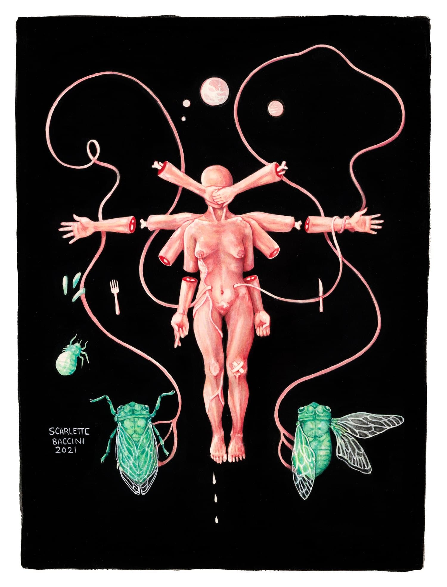 DIPLOID RITUALS